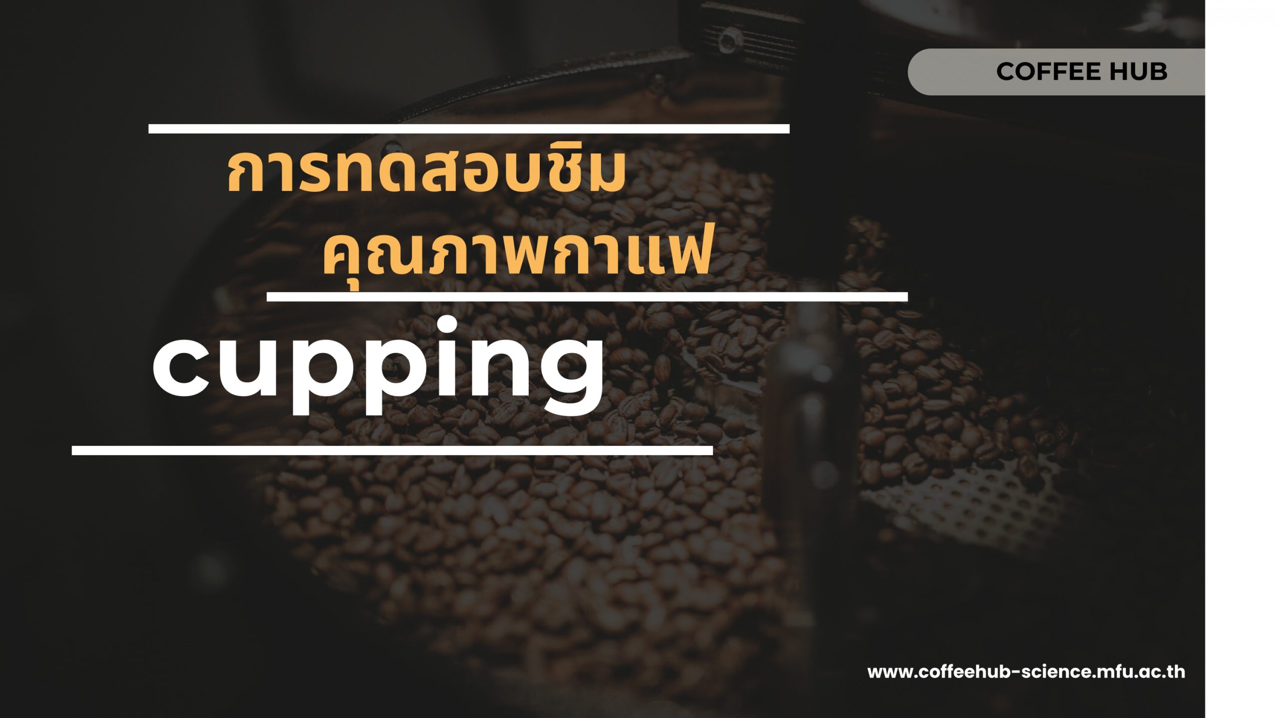 การทดสอบชิมคุณภาพกาแฟ cupping