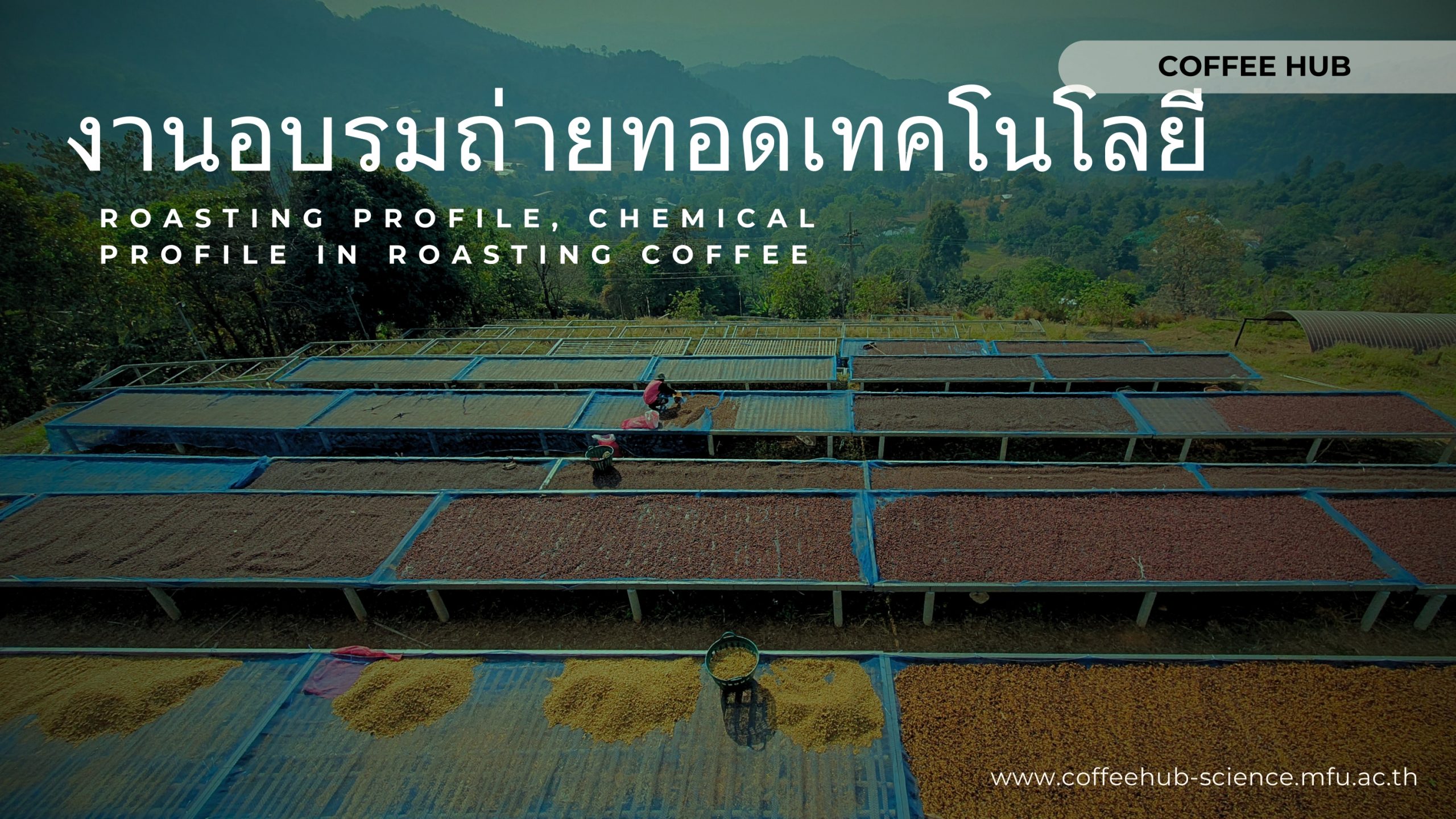 การอบรมถ่ายทอดเทคโนโลยี Roasting profile, chemical profile in roasting coffee