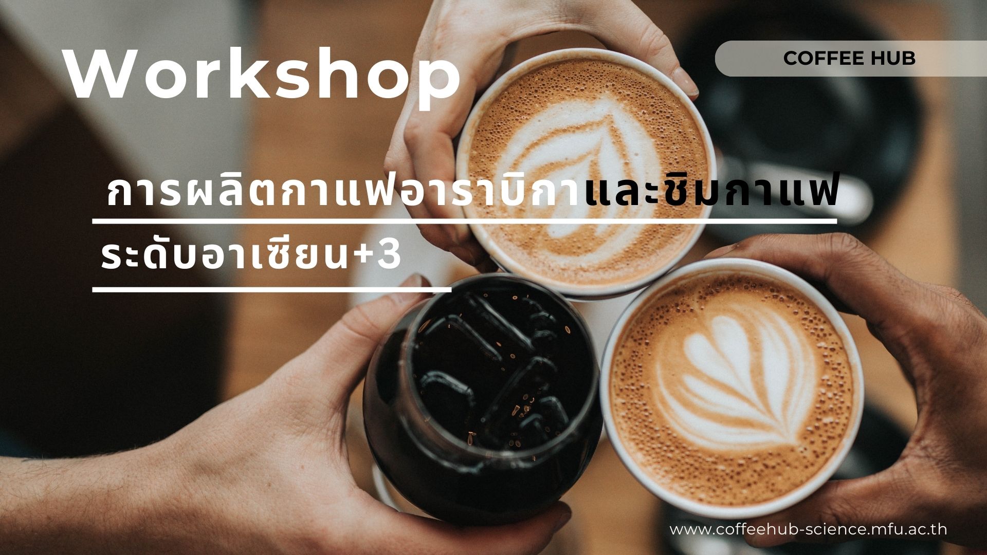 Workshop การผลิตกาแฟอาราบิกาและชิมกาแฟระดับอาเซียน +3