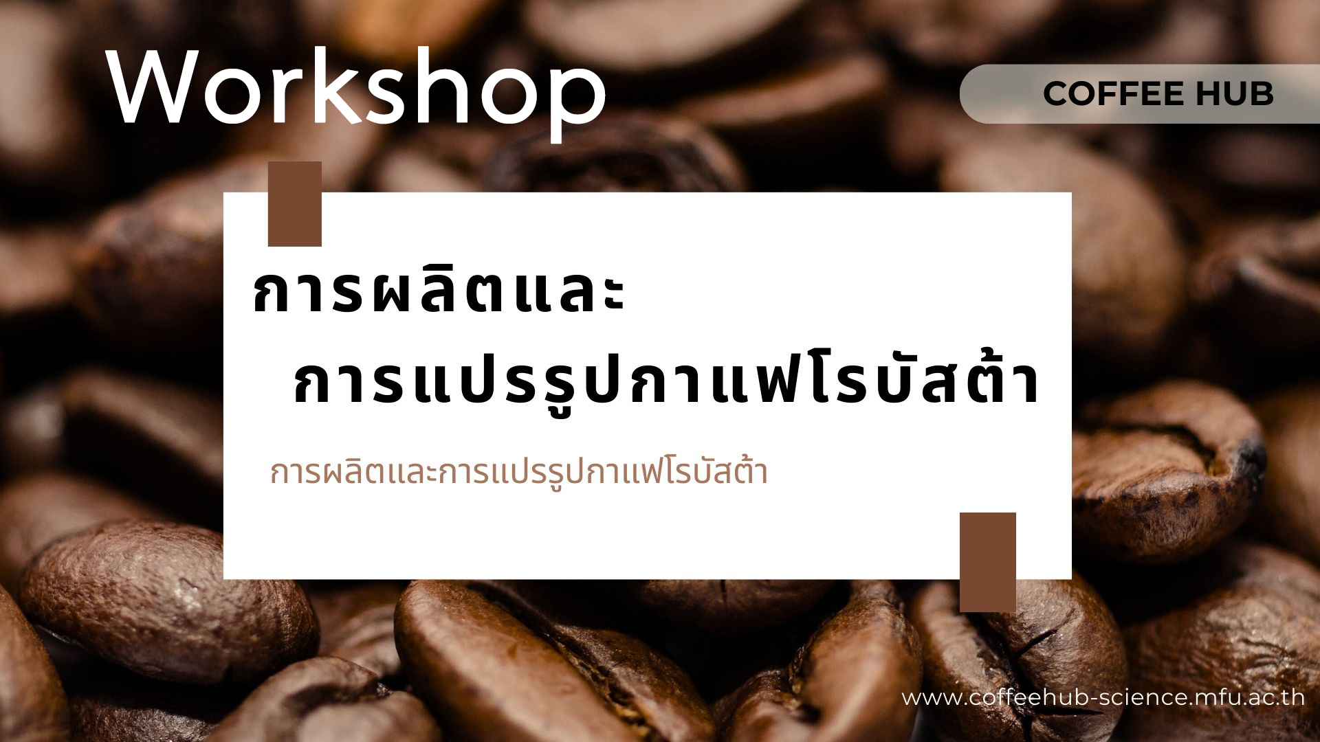 การผลิตและการแปรรูปกาแฟโรบัสต้า